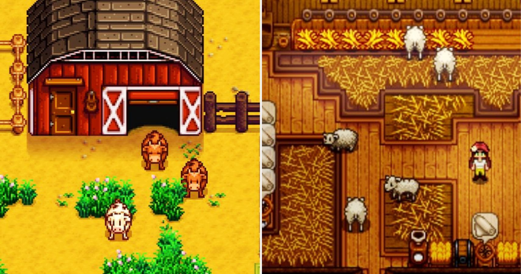 Stardew Valley Barn: Upgrade It or Build a New One?