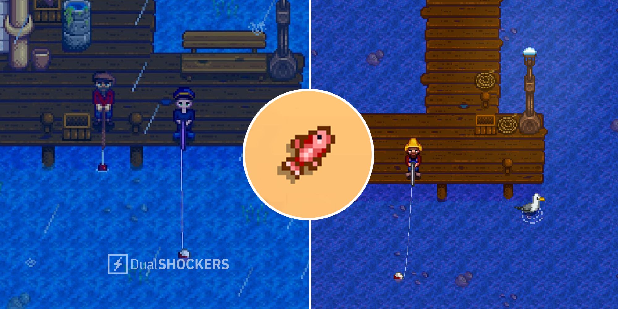 Stardew Valley Red Snapper: Locations, Seasons, and Time