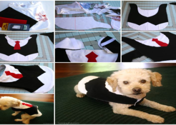 DIY Mutt Mantle: How to Make a Cozy Coat for Your Dog.