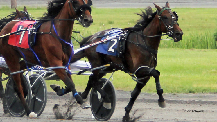 Jason Bartlett Harness Racing: Driver Stats and Winning Secrets