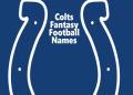 Rude Fantasy Football Names Generator: Find the Perfect Name for Your Team Right Here