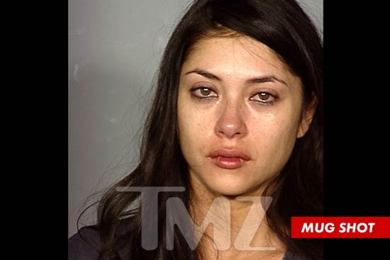 Arianny Celeste Mugshot: The Full Story You Need To Know