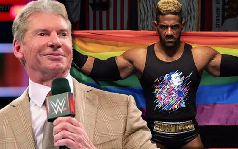 Vince McMahon gay debate: Why it keeps coming up in the media!