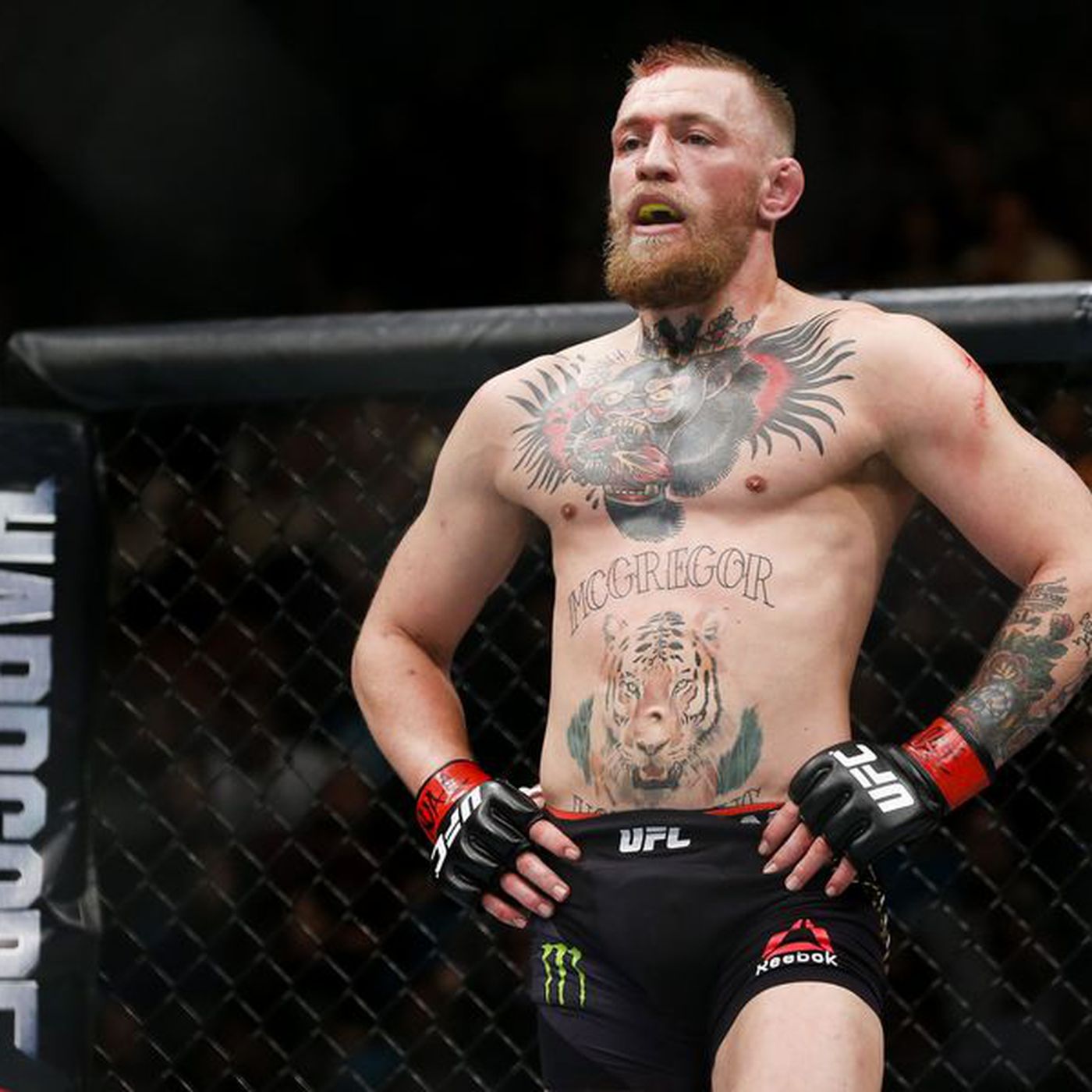 Conor McGregor Losing Fight: Fans React to His Latest Setback