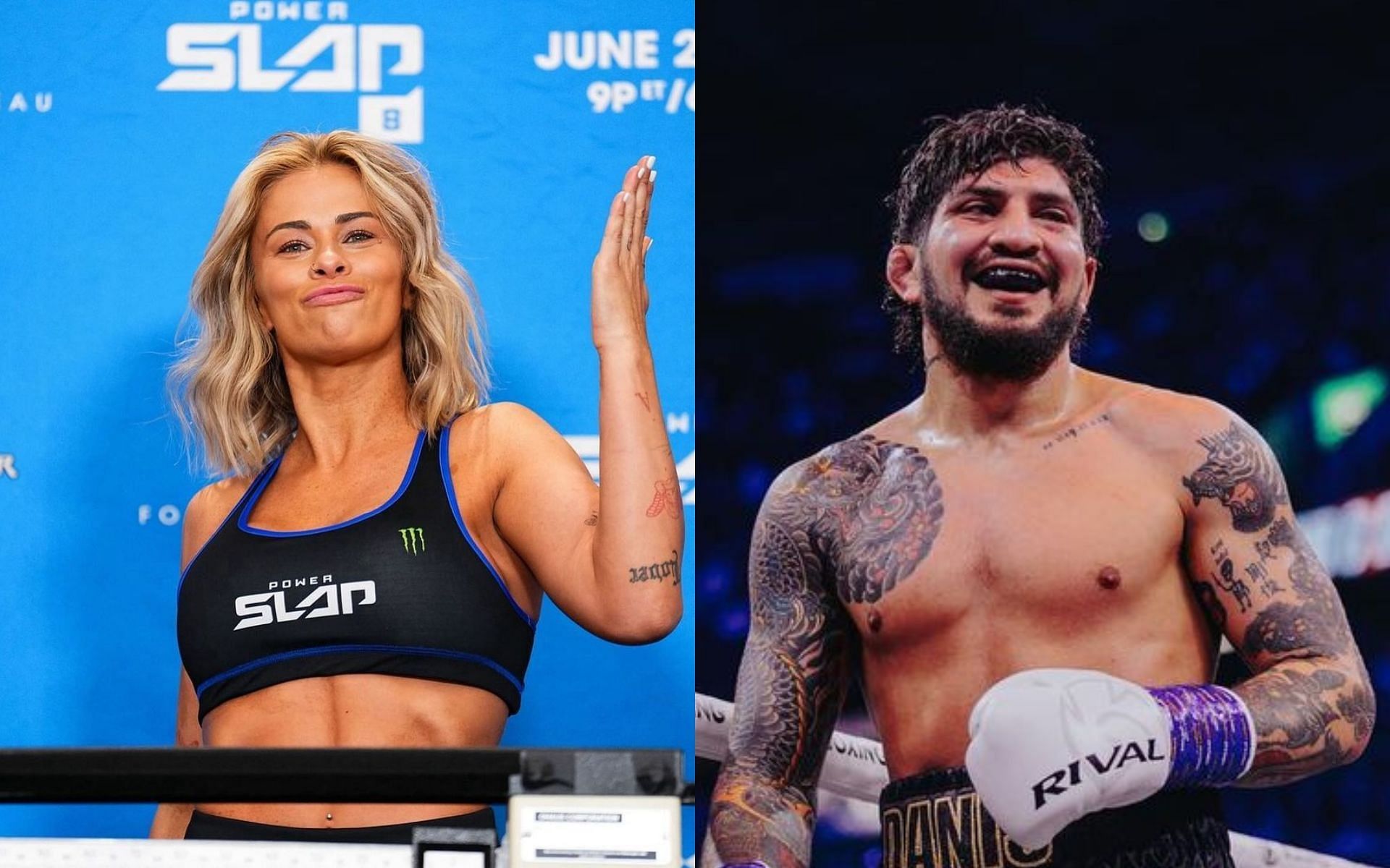 Dillon Danis Challenges Paige VanZant: Fight Details and Updates