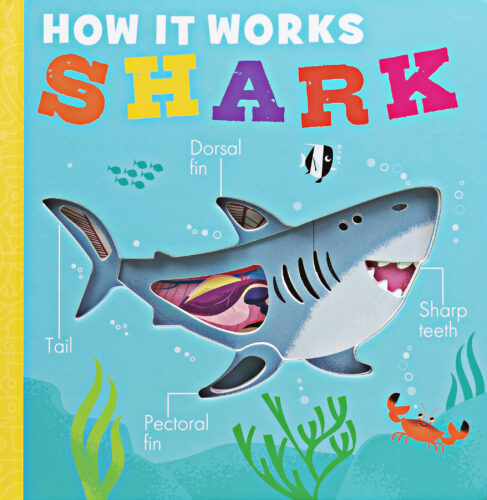 Shark Chapter 1 Explained: A Beginners Guide