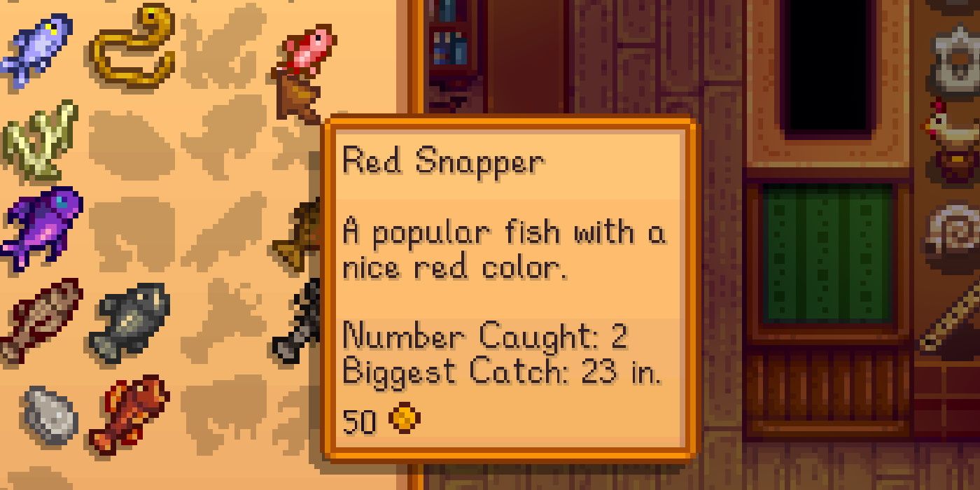 Stardew Valley Red Snapper: Locations, Seasons, and Time