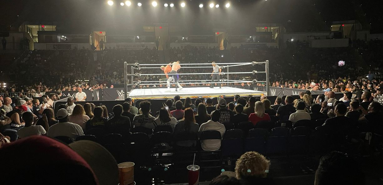 WWE Charleston: What to Expect at the Live Show!