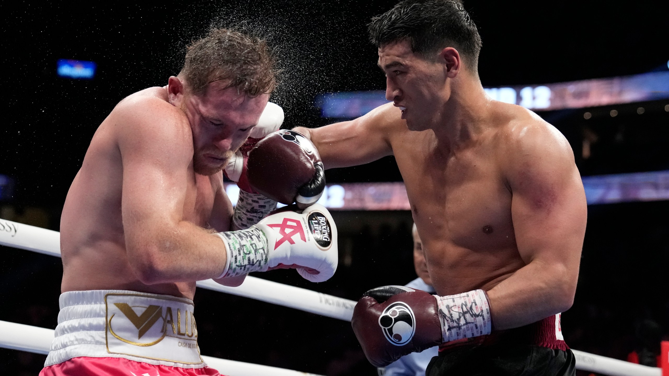 After Canelo Alvarez Loss: Whats Next for the Boxing Star?