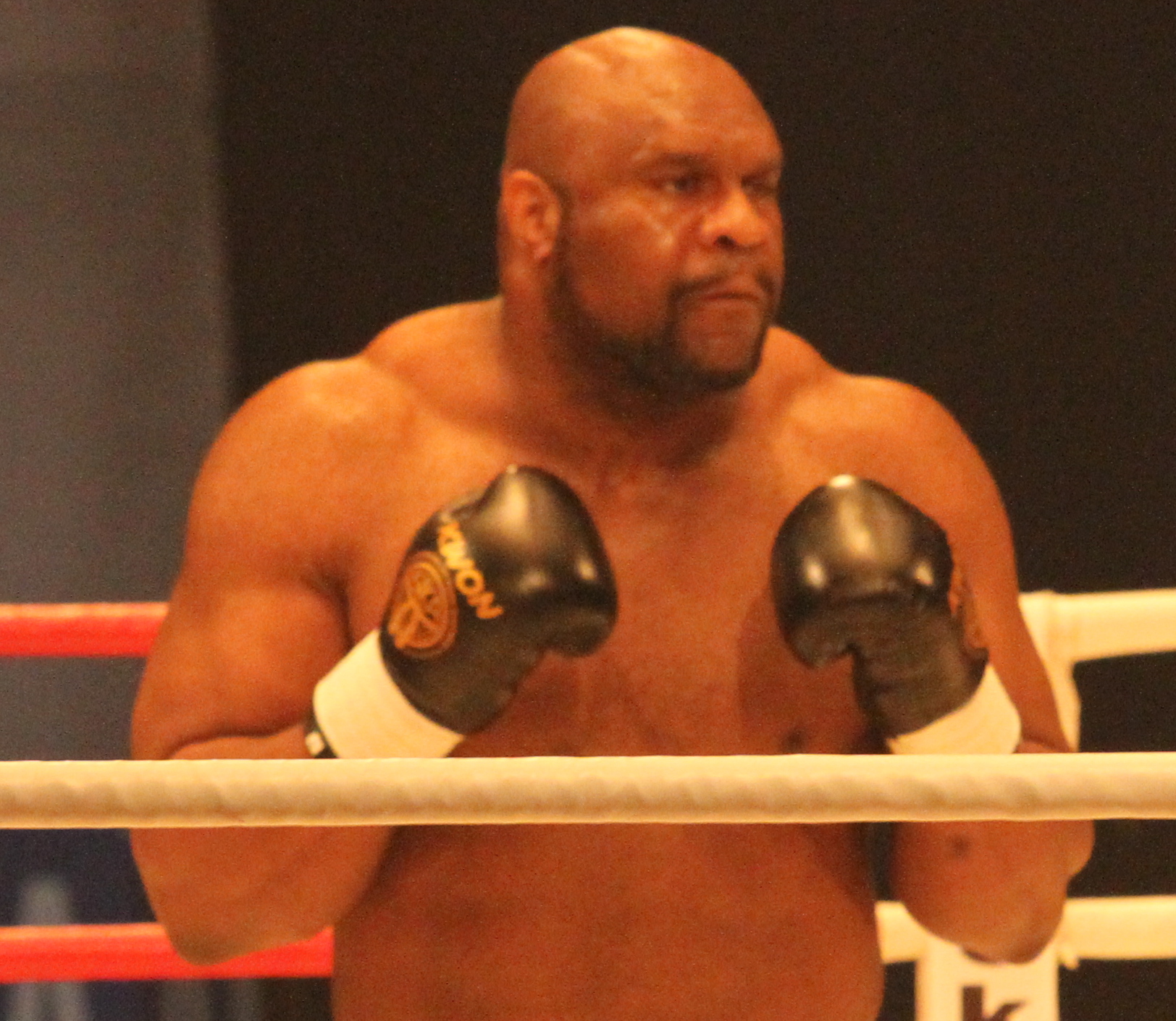 Bob Sapp Movies: Every Movie Starring the Beast!