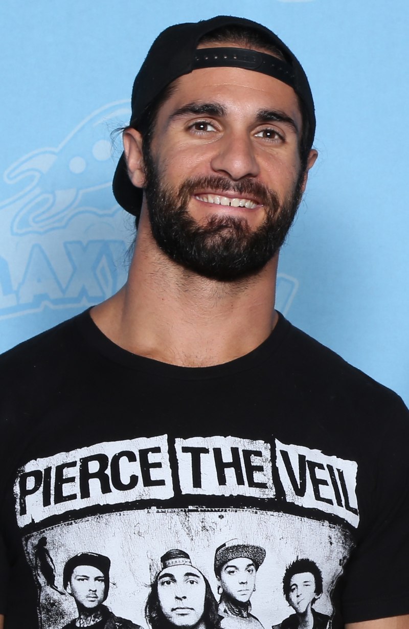 Whats up with Seth Freakin Rollins? Simple guide to the wrestling star!