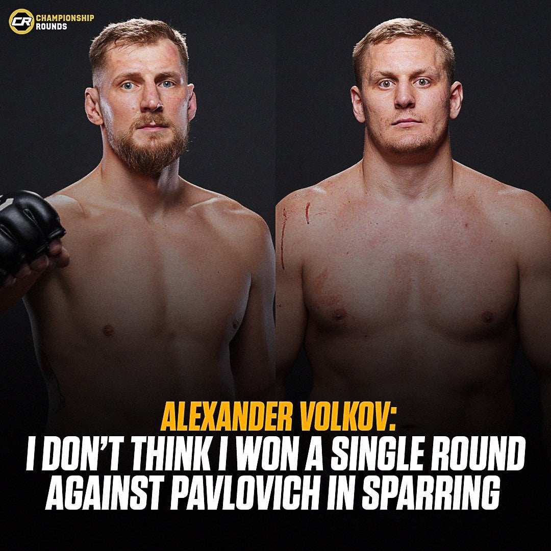 volkov vs pavlovich: the fight is coming soon.