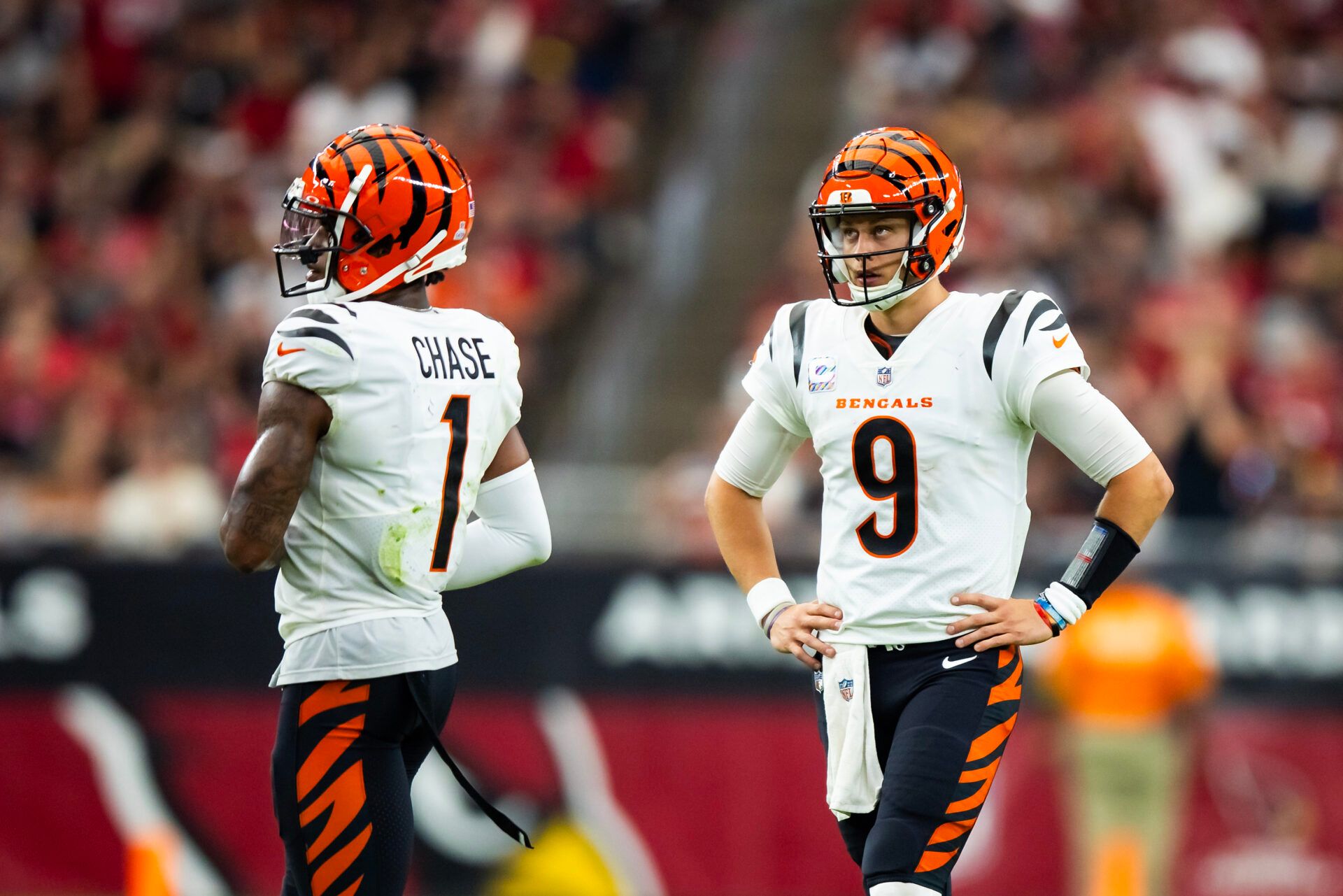 Bengals Fantasy Team Names: How to Choose the Best One!