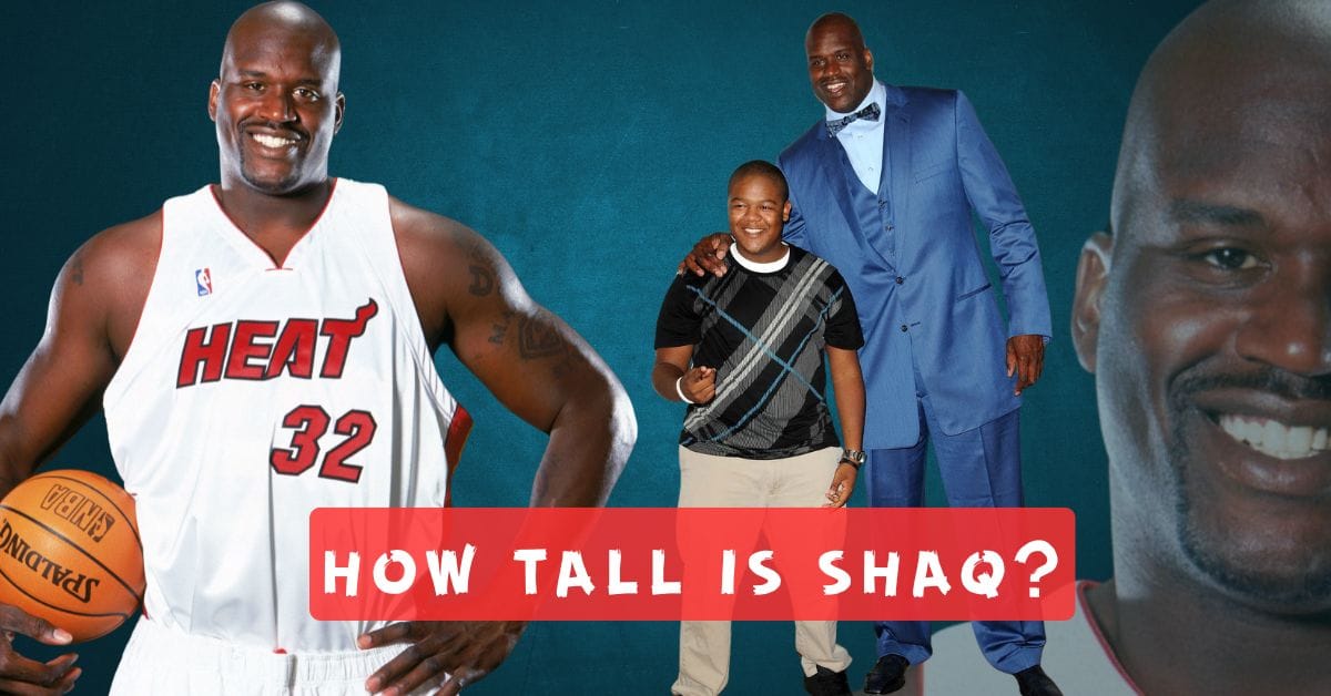 How Tall Is Shaq? The Real Height of This Basketball Legend!