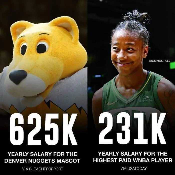 Whats the average NBA mascots pay? Comparing Rockys nuggets mascot salary!