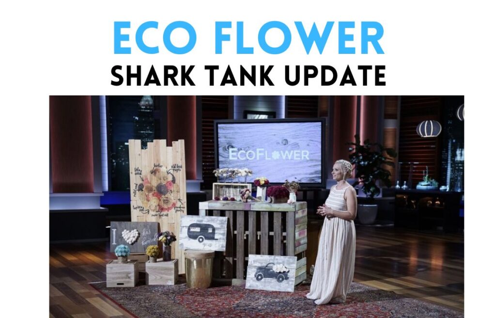 Whats Eco Flower Net Worth? Uncover the Value of Sustainable Bouquets.