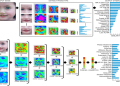 How to spot entropy loss syndrome? Learn the key factors!