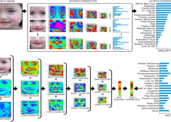 How to spot entropy loss syndrome? Learn the key factors!